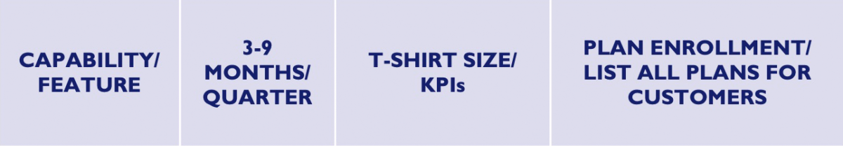 Capability/feature, timebox 3-9months/quarter, measured by KPI's. An example would be plan enrollment feature/list all plans for customers